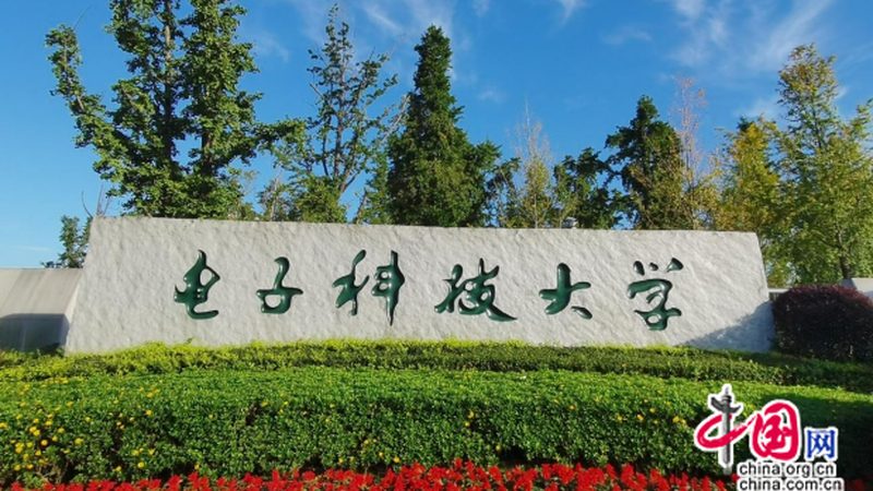 揭秘热敏电阻压敏电阻：如何挑选十大品牌**