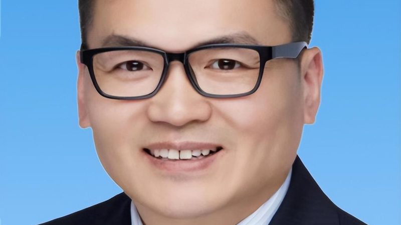 继电器寿命之谜：揭秘影响其耐久性的关键因素**
